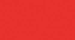 Orange flamboyant