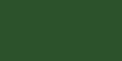 Terre Verte brûlée - PG17, PR101, PBk7