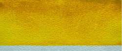Sunrise yellow