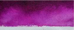 Rose magenta