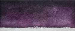 Black cherry violet