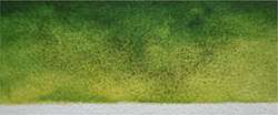 Fade green