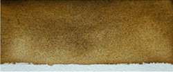 Mud umber