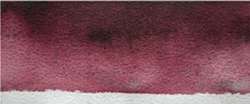 Burgundy red