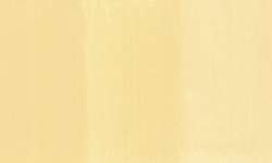 Coquille foncée - PY42