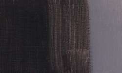 Brun van dyck - PBK11/PR101