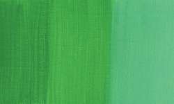 Vert permanent clair - PY74/PG7