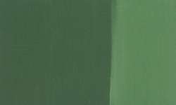 Vert oyde de chrome - PG17