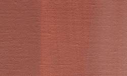 Rose Aubère - PR101