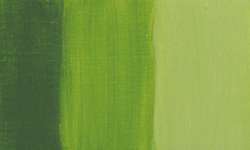 Vert bambou - PY65/PG7