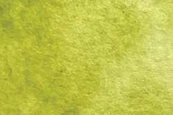 Vert absinthe - PW6/PY111/PG7