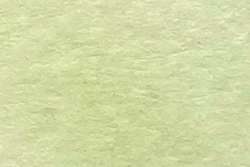 Vert tropical - PW6/PG7