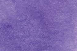 Violet profond - PW6/PVRS23