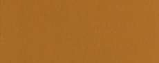 Raw Sienna