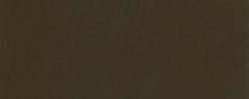 Raw umber
