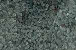 glassroxx© | Glasgranulaat ○ gekleurd — 100% recycled, papieren zakje 150 g, Silver grey