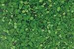 Granulat de verre Jesmonite, 150 g, Vert fluo