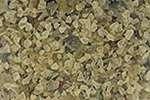 Granulat de verre Jesmonite, 150 g, Ivoire
