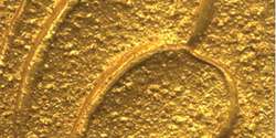 Gold paste