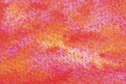 Peinture aquarelle granuleuse HWC Artists' Watercolour Holbein, Tube de 5 ml, Rose perruche de Bourke