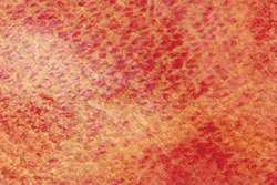 HOLBEIN | HWC ARTISTS' WATERCOLOR™ aquarelverf ○ granulerend — los, tube 5 ml, Lunar eclipse red