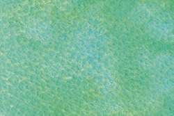 HOLBEIN | HWC ARTISTS' WATERCOLOR™ aquarelverf ○ granulerend — los, tube 5 ml, Wonder forest green
