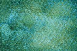 Peinture aquarelle granuleuse HWC Artists' Watercolour Holbein, Tube de 5 ml, Vert paon