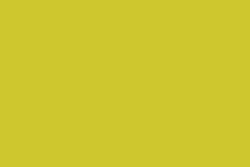 Kihada / Amur cork yellow