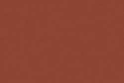 Taisha / Taisha brown