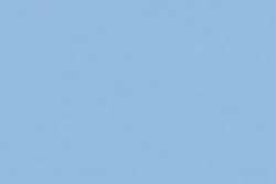 Wasurenagusa / Myosotis blue