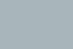 Ginnezu / Silver grey