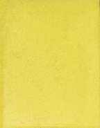 Daisy yellow