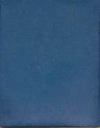 Delft blue