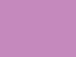 Violet lilac