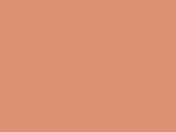Pale terracotta