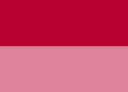Rouge de cadmium foncé imit  (PR170)