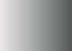 Iridescent Argent (Pigments iridescents, PBk7)