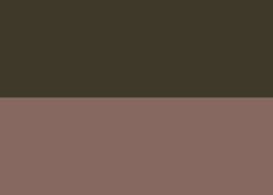 Terre d'ombre brûlée (PR101 , PBk7 , PY14 , PY42)
