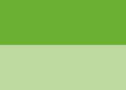 Vert Jaune (PY3, PG7)
