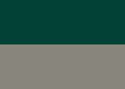 Terre d'ombre naturelle (PY42 , PBk7 , PR101 , PY14)