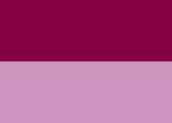Rouge Carmin (PR202)