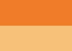 Orange saturne  (PY170)