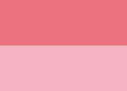 Rose de Venise  (PW6/PY42/PR112)