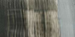 Davys grey