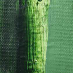 Sap green