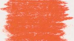 Rose permanent clair II