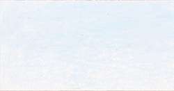 Arctic