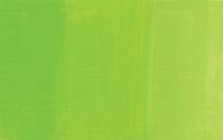 Cardinal green light (genuine)