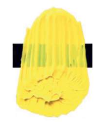 Jaune arylide clair - PY3