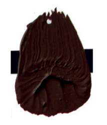 Burnt umber
